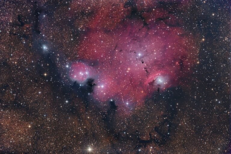 Barnard 98 and NGC 6559