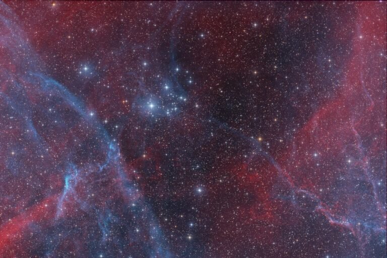 IC 2395 and its gaseous surrounds