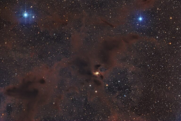 PP 81 in the Dark Wolf Nebula