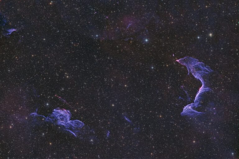 The Betta Fish Nebula