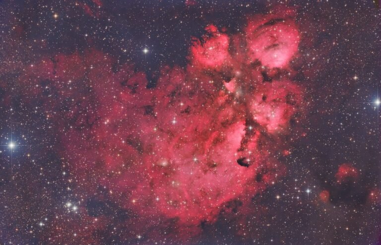 The Cat’s Paw Nebula (NGC 6334)